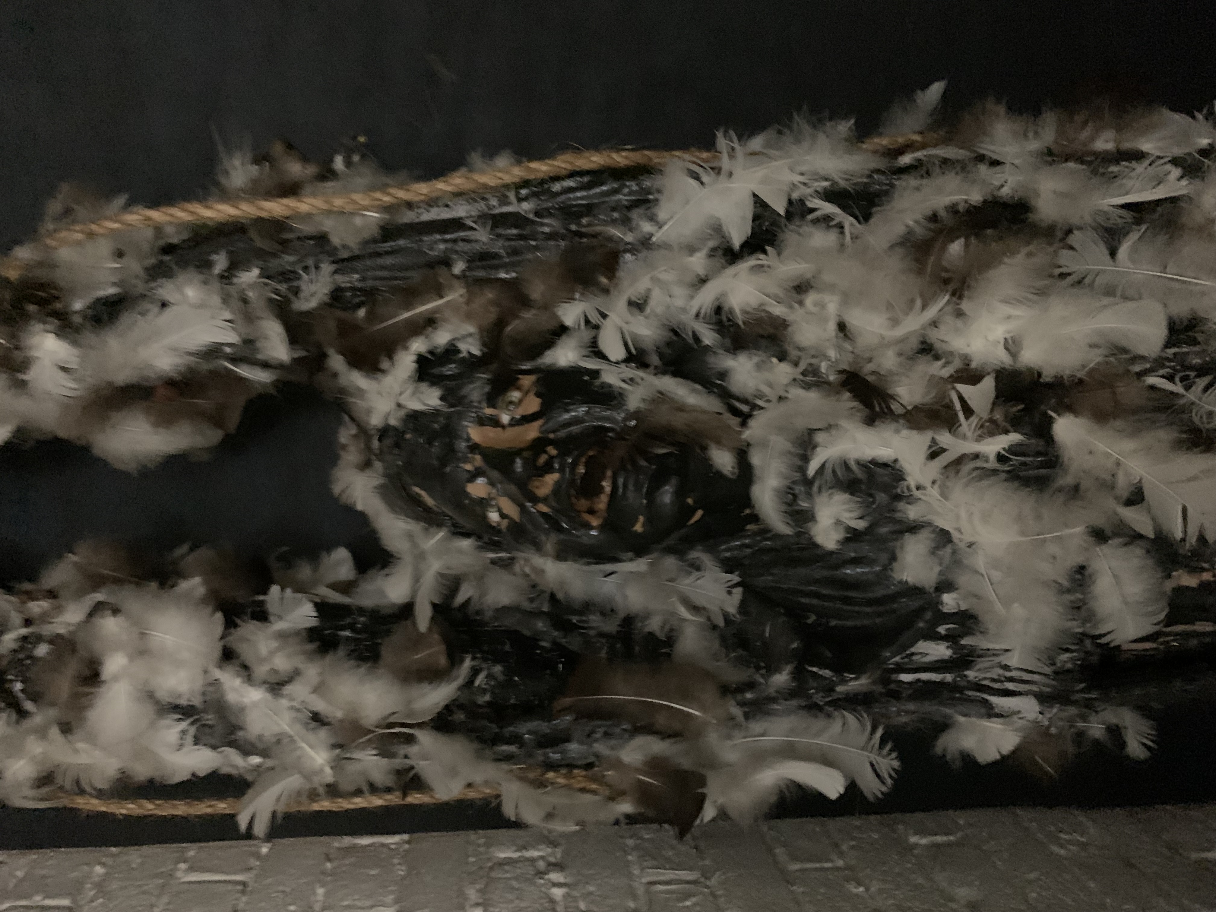 ./2022/06 - St Louis/06 - Day 6/20220526-151557732.JPG